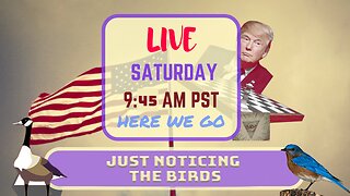 Saturday *LIVE* Just Noticing The Birds Edition