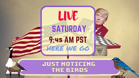 Saturday *LIVE* Just Noticing The Birds Edition