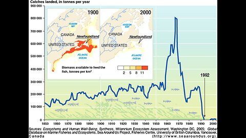 Revealing How to identify the 7 stages of a collapse pattern and US is on verge