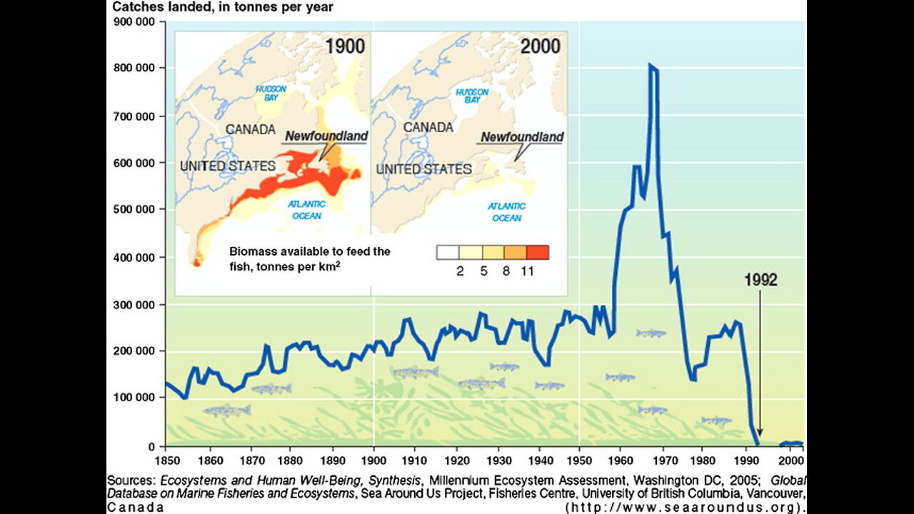 Revealing How to identify the 7 stages of a collapse pattern and US is on verge