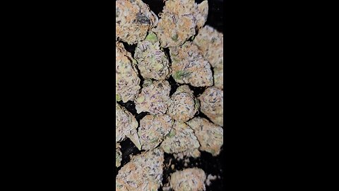 Azztecmedia Reviews Green Karat Fiji Sunset 🌇 T29 😉🍁☀️☀️🫶💪💯👊