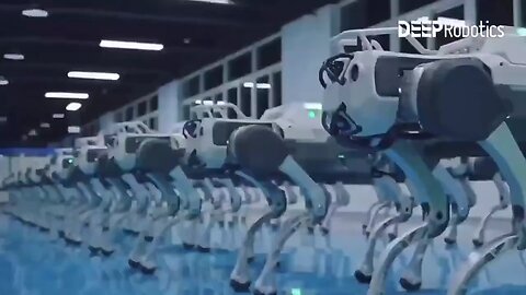 Chinese factories are full of quadruped robots