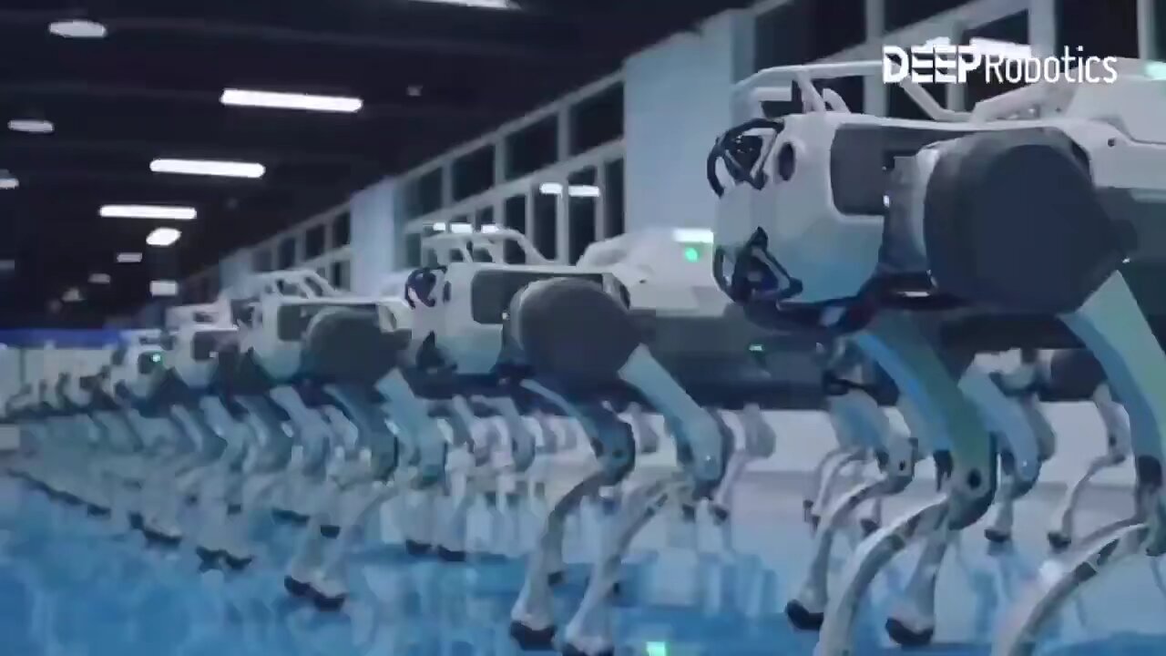 Chinese factories are full of quadruped robots