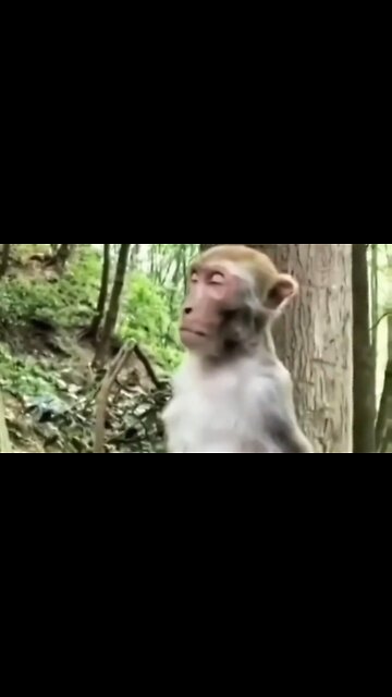 THE REALITY OF GOD'S LOVE - DAILY DEVOTIONAL ❤️