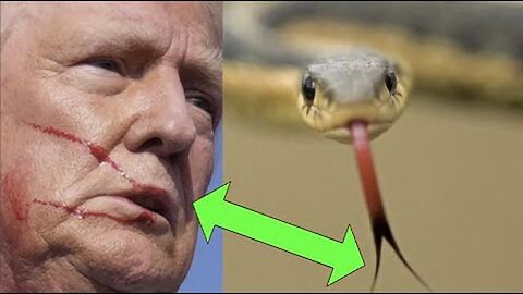 TRUMPS SERPENT TONGUE!!! 'YOU KNEW I WAS A SNAKE BEFORE YOU TOOK ME IN!'