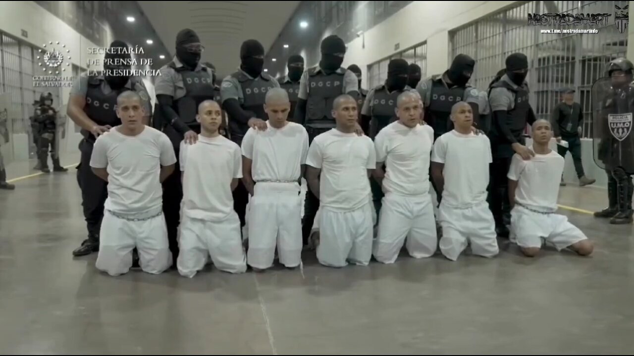The Storm Has Arrived - Arrestation des leaders MS-13 en Tren De Aragua (Épisode #33)