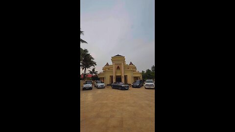 Mafia who. Mafia 💀💸 #cars #money #viral #trending