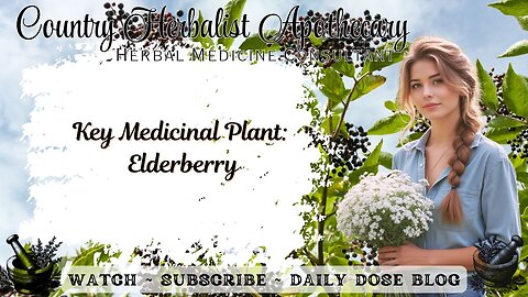 Key Medicinal Plant: Elderberry