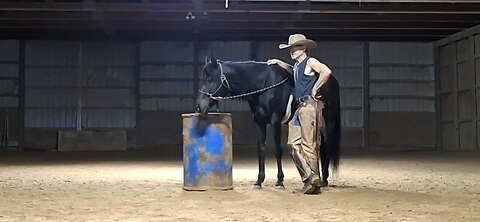 Explanation of stage 2 videos with Black Stallion.