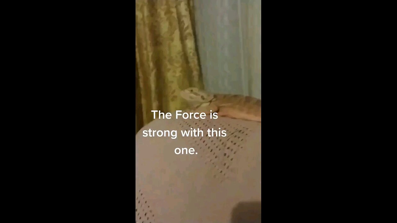 Jedi Moment