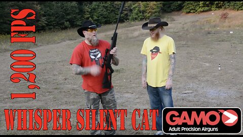 Gammo Pellet Gun 2 Different Pellets