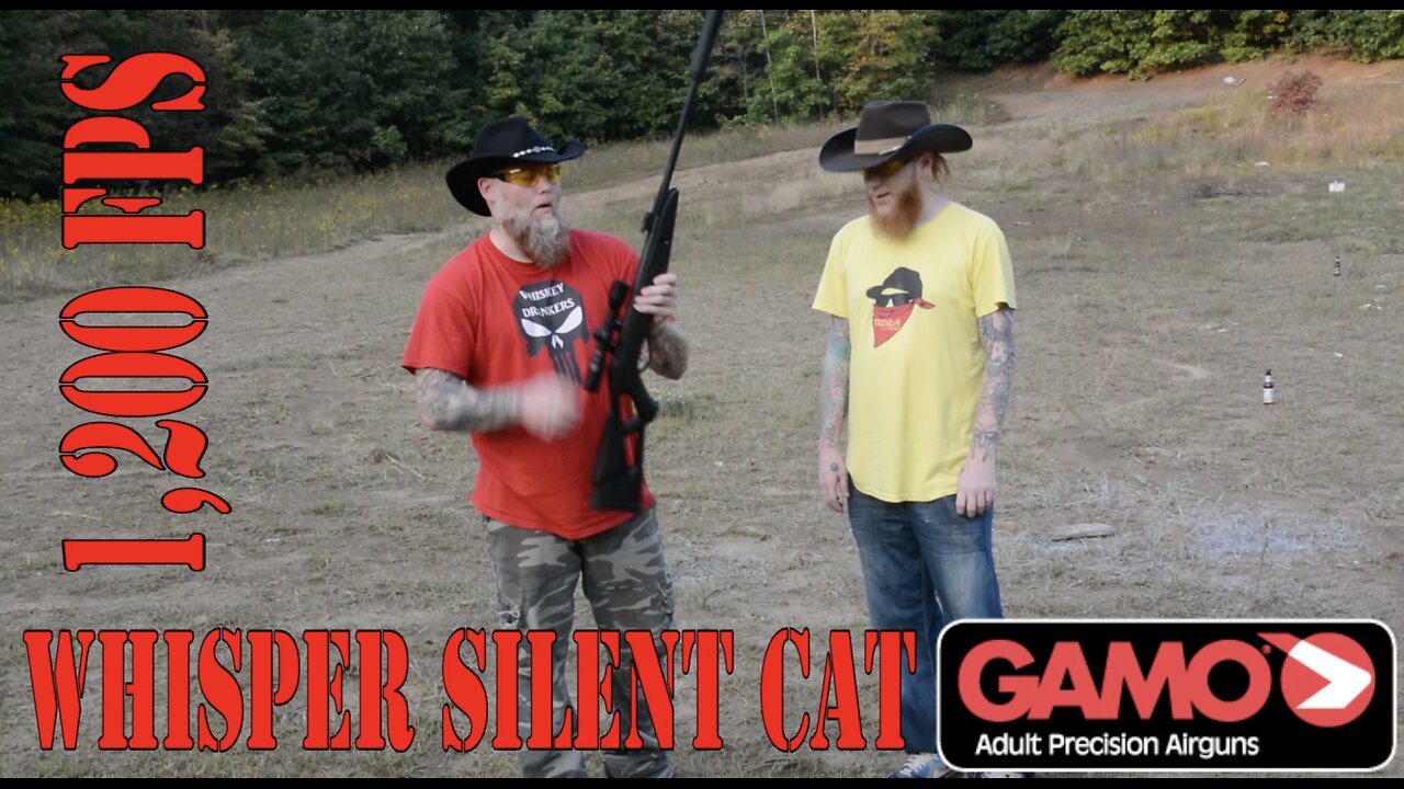 Gammo Pellet Gun 2 Different Pellets