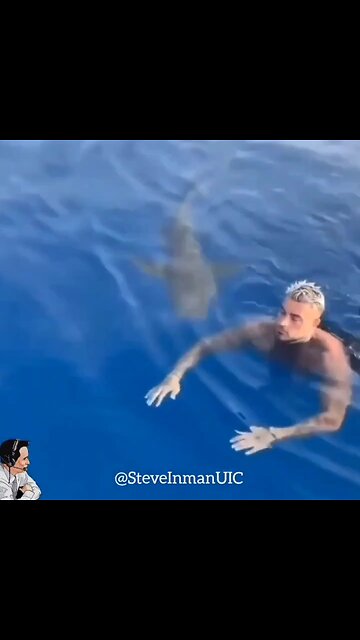 Swimming with Sharks