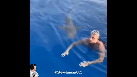 Swimming with Sharks