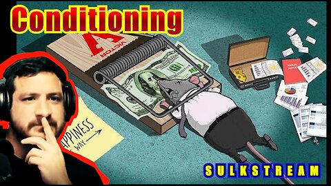 Sulk Stream #567 Conditioning