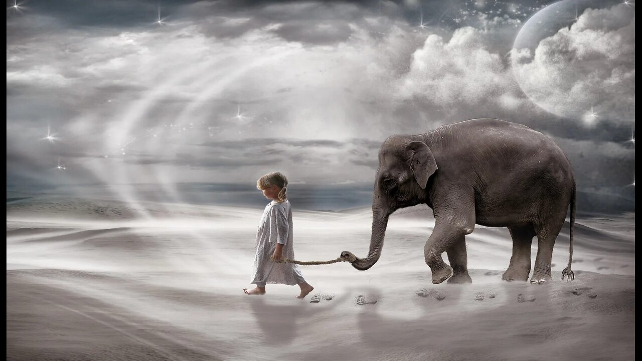 AN ELEPHANT HERO SAVES A CHILD IN A HEART-RIPPING ZOO DRAMA!