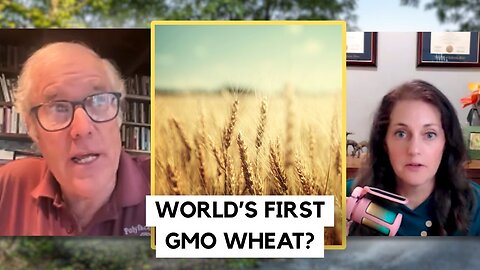 World's First GMO Wheat APPROVED in the U.S.