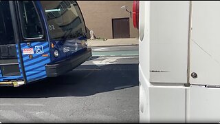 That is the Q27 MTA bus and the Q65 MTA BUS in Flushing Main Street