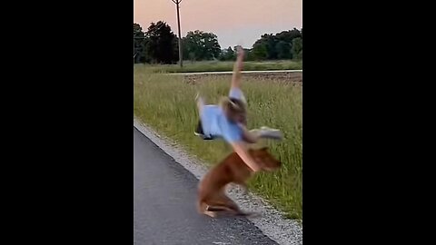 When Speed Becomes Too Much 😂🐕💨 The Dog Who Forgot to Turn!