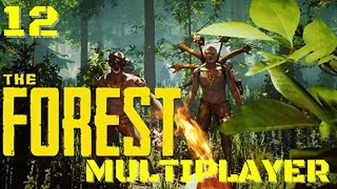 Moving To The BEACH : The Forest