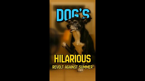 BREAKING NEWS: Local dog declares war on summer. Demands AC, popsicles, and personal fan.