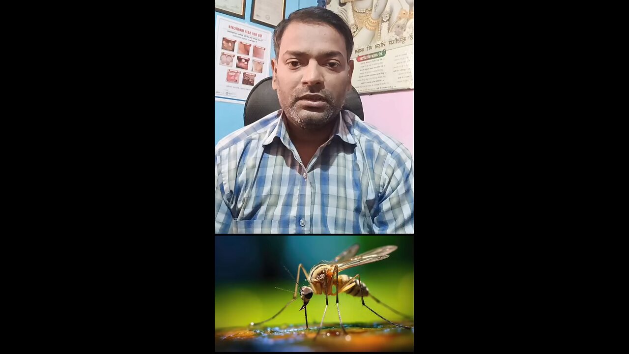 डेंगू बुखार को ठीक करने का तरीका ।