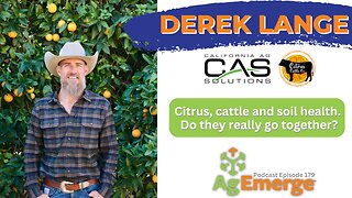 Derek Lange & CA Central Valley Agriculture | AgEmerge Podcast Episode 179