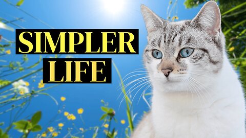 How to Live More With Less at Any Age! 5 Simple Shifts| Fast Tip Friday — Minimalist Retiree