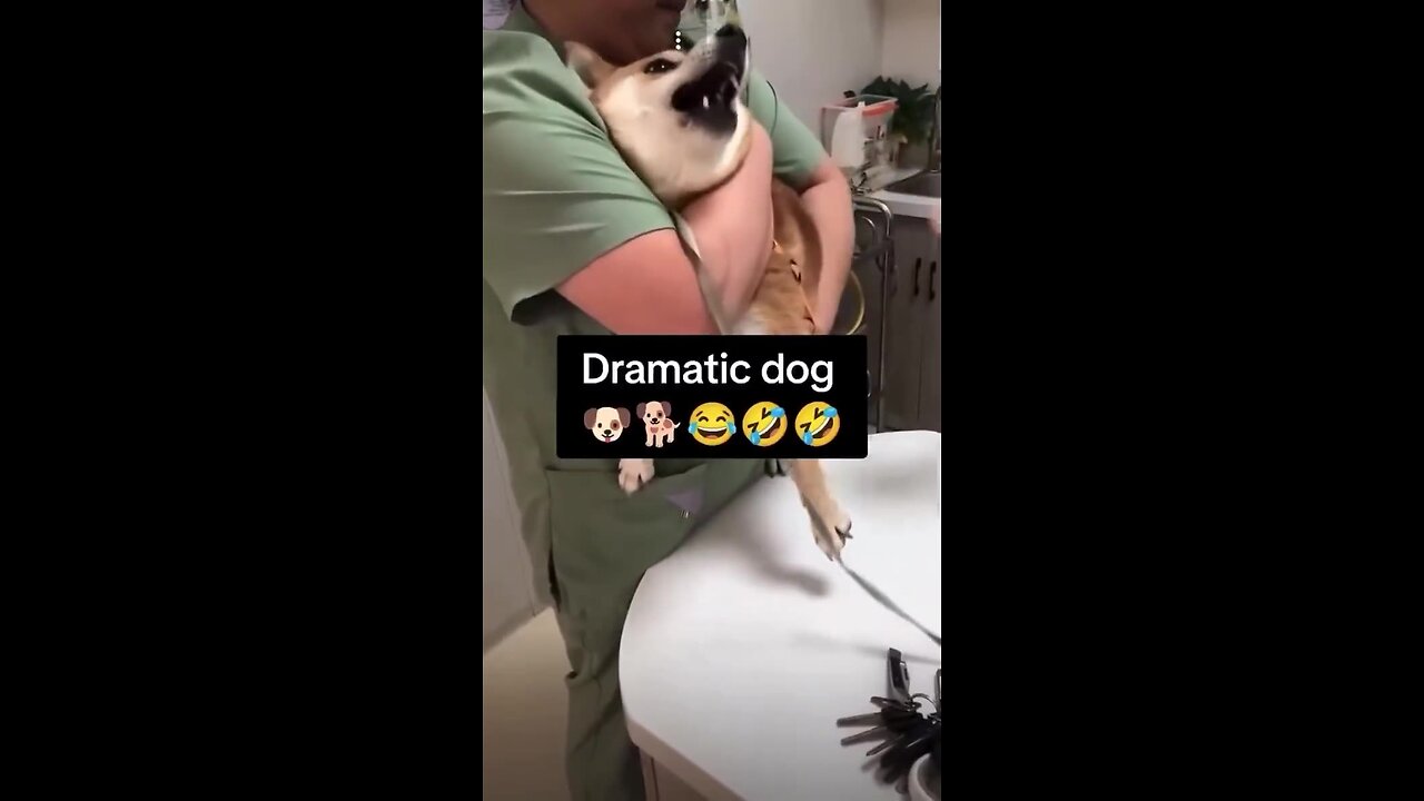 So dramatic 🤣🤣🤣