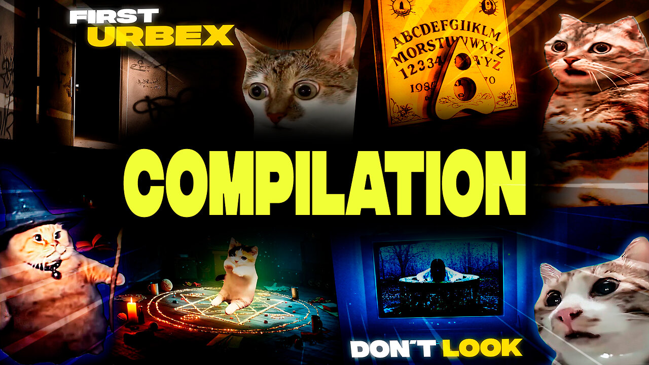 Scary catmemes 😼🌑 | Horror-Comedy Compilation