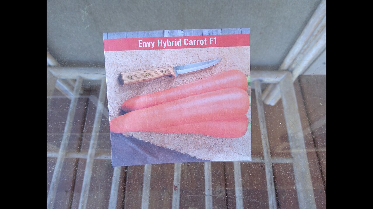 Planting Container Carrots 3/16/25