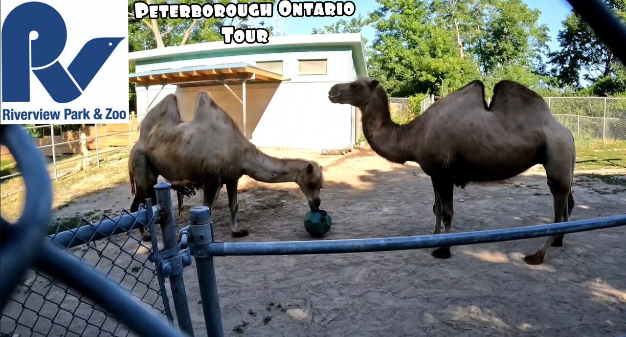 Riverview Park & Zoo Peterborough Ontario Tour Part 2 More Coming soon