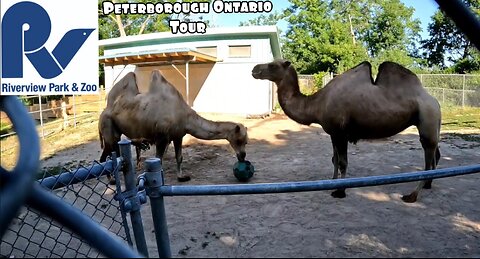 Riverview Park & Zoo Peterborough Ontario Tour Part 2 More Coming soon