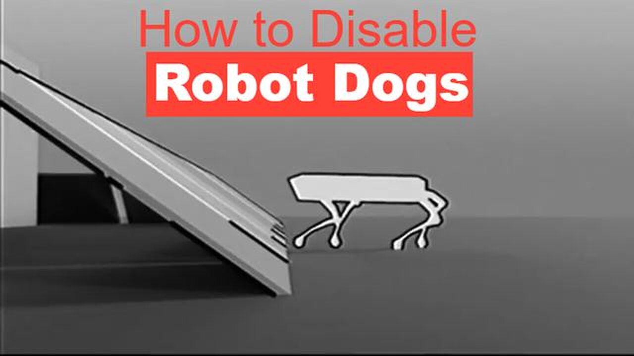 How to Disable a Robot Dog