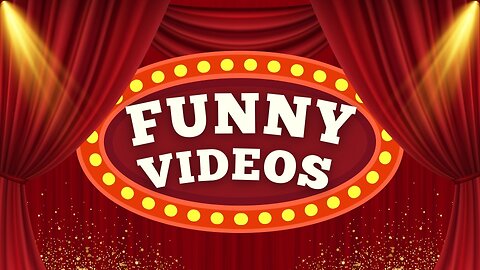 Funny videos. Collection 4