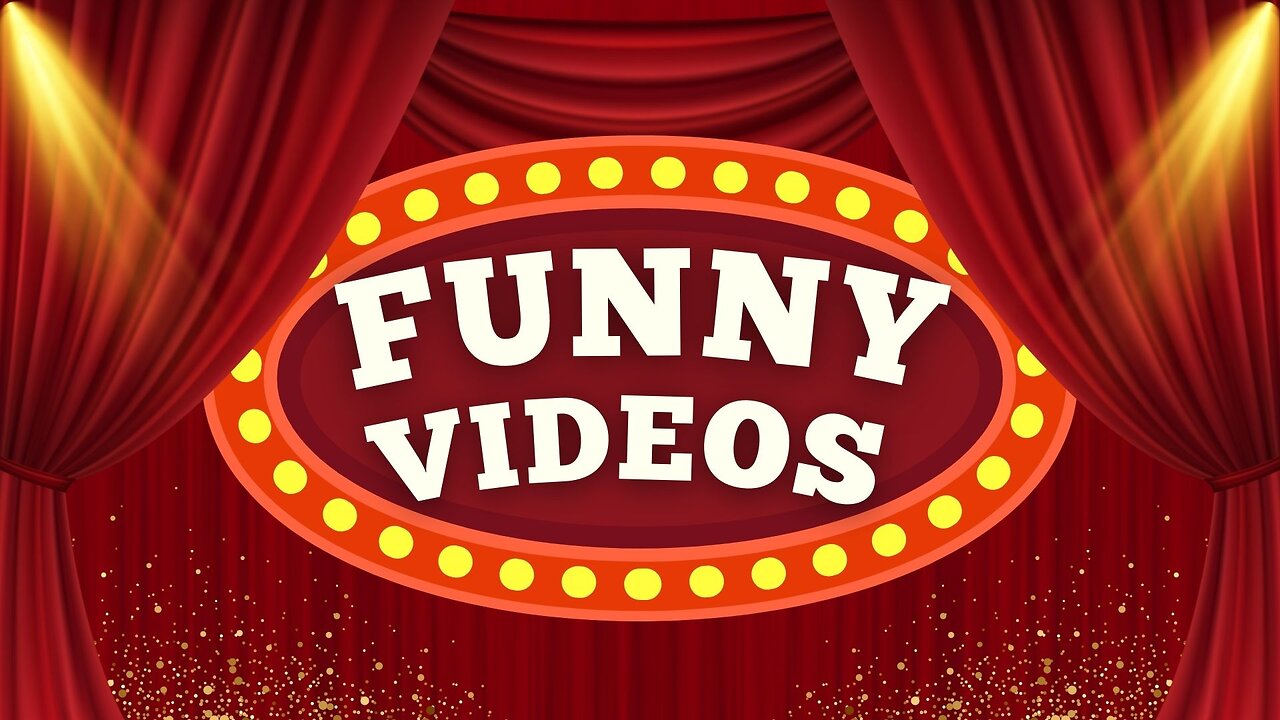 Funny videos. Collection 4