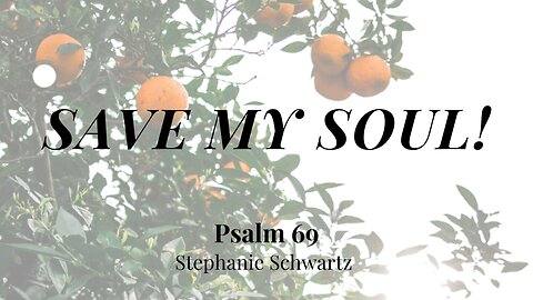 Save My Soul! (Psalm 69) | Women's Bible Study | Stephanie Schwartz