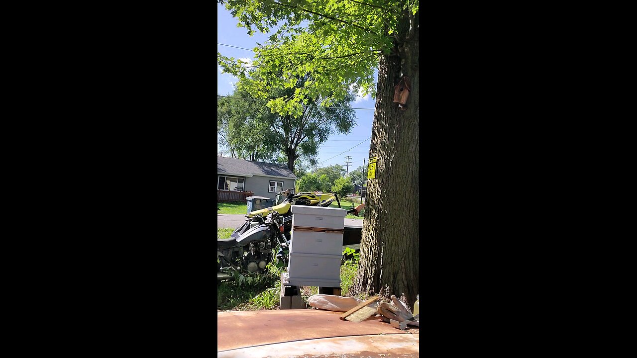 🐝Quick Chk in Shungite Tower 😊🐝 1