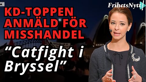 Alice Teodorescu Måwe rök ihop med vänsterpartist - Kaos i bryssel