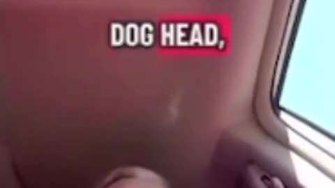 Kate survived Chimeras 😬 Deep secrets Freemasons