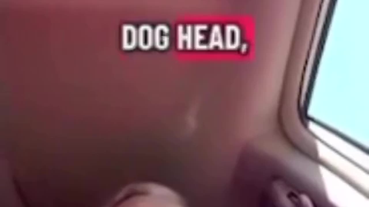 Kate survived Chimeras 😬 Deep secrets Freemasons