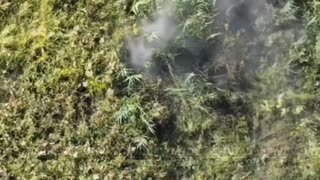 Ukraine war combat footage 9/2/25