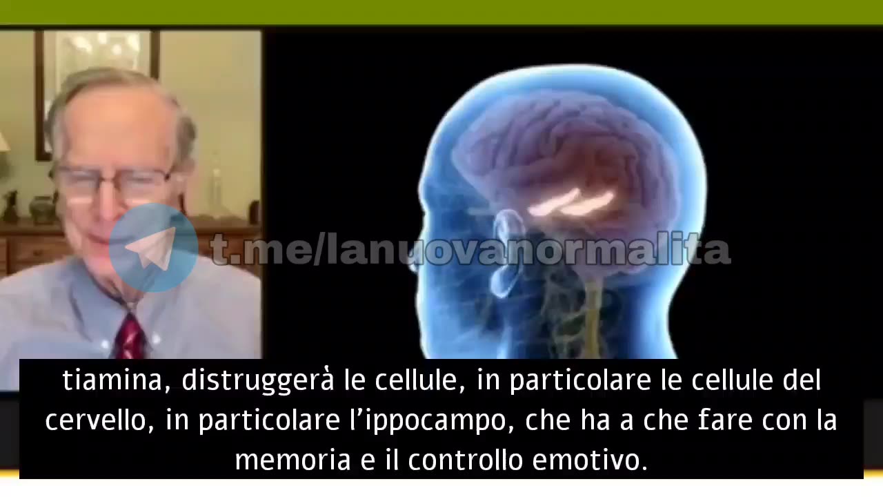 RUSSEL BLAYLOCK - proteggere il cervello