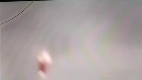 Woman records bizarre object in sky