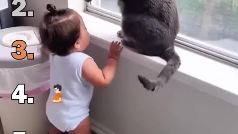 Best Cat Speak Funny Moments