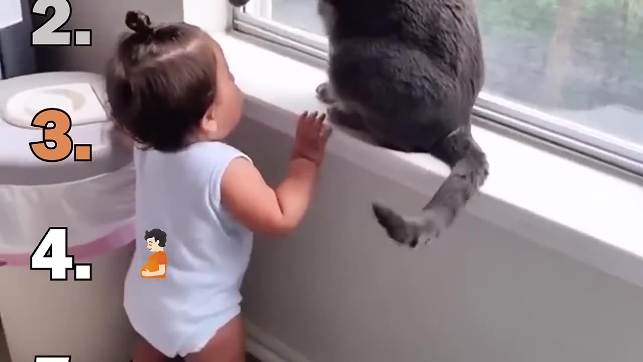 Best Cat Speak Funny Moments