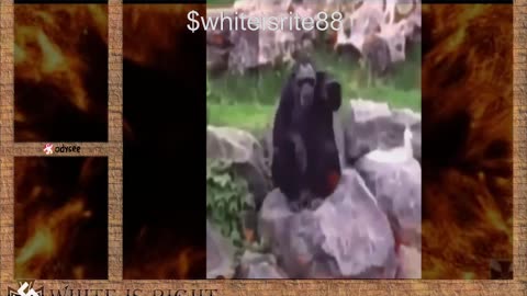 Merry Christmas Bitches!