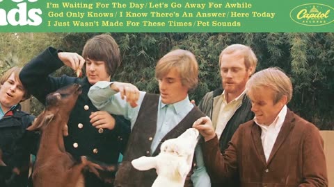 Brian Wilson - One for the Boys