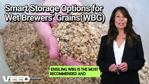 Turning Brewery Waste into Dairy Cattle Gold : Smart Storage Options for Wet Brewers’ Grains(WBG)