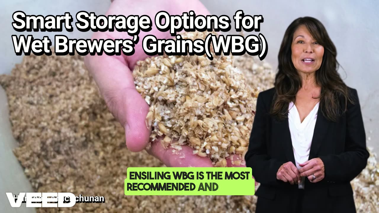 Turning Brewery Waste into Dairy Cattle Gold : Smart Storage Options for Wet Brewers’ Grains(WBG)